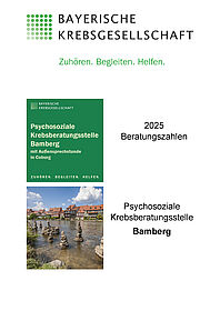028 Beratungszahlen 2025