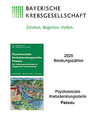 095 Beratungszahlen 2025