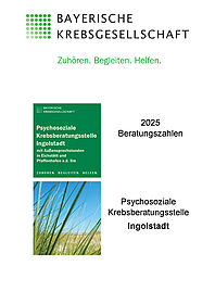 056 Beratungszahlen 2025