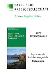 133 Beratungszahlen 2025