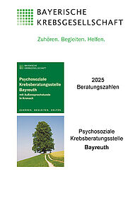 035 Beratungszahlen 2025