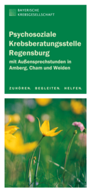 101 Beratungsstellenflyer Regensburg