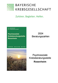 133 Beratungszahlen 2024